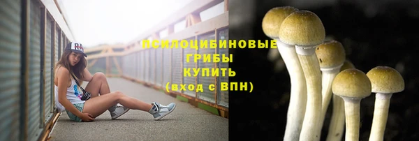 mix Магас
