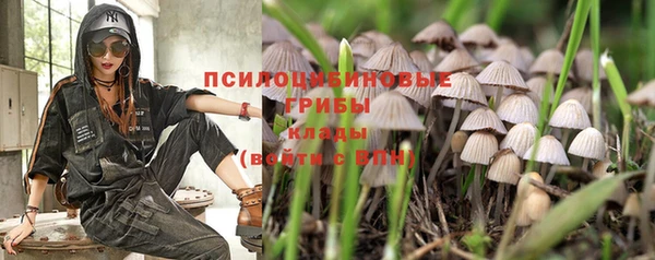 ALPHA PVP Майский