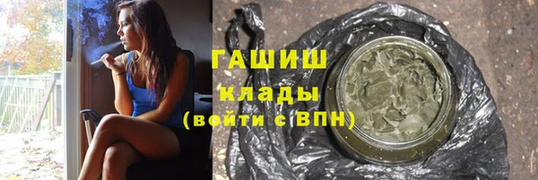 индика Вяземский